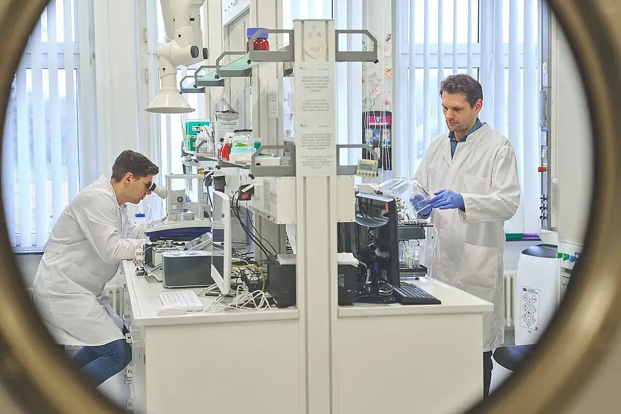 Zwei Wissenschaftler im Labor, einer am Mikroskop, der andere mit einem Behälter. Ein Einblick in das spannende bioscience studium.