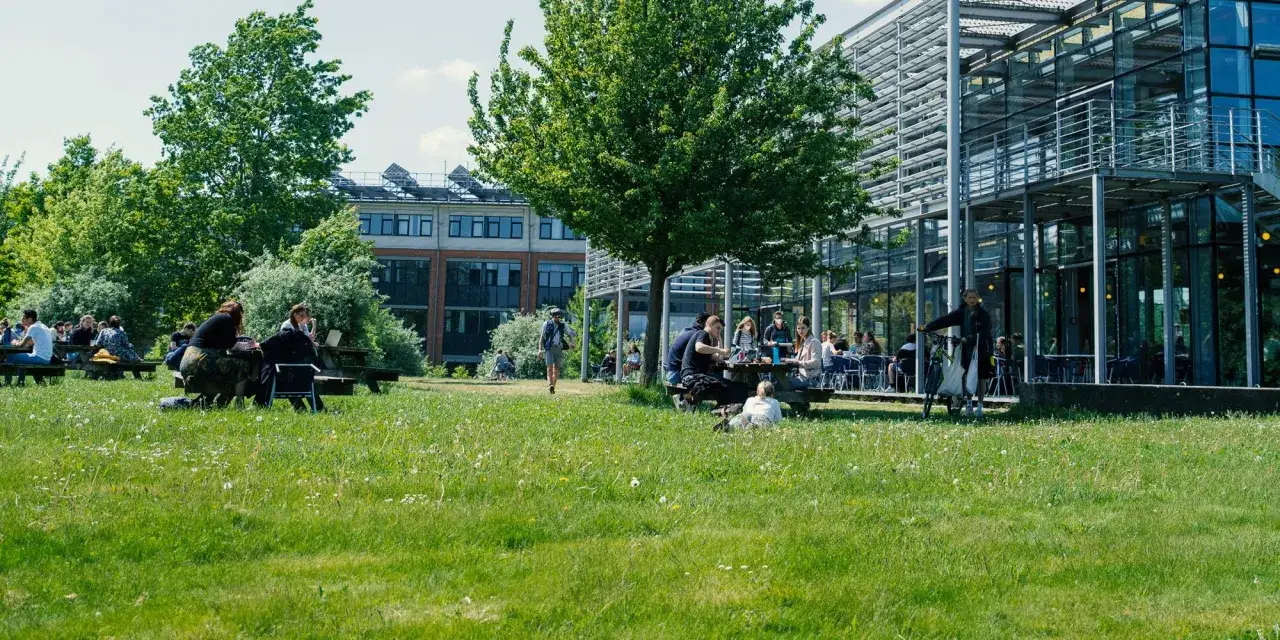 Studierende entspannen und lernen auf dem Campus der FH Flensburg.