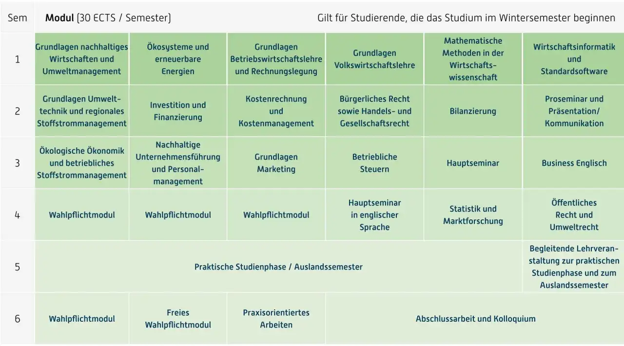 Studienplan f&uuml;r ein Nachhaltigkeitsmanagement Studium: Module von Grundlagen bis zur Abschlussarbeit, inklusive Wahlpflichtf&auml;cher und Praxisphasen.