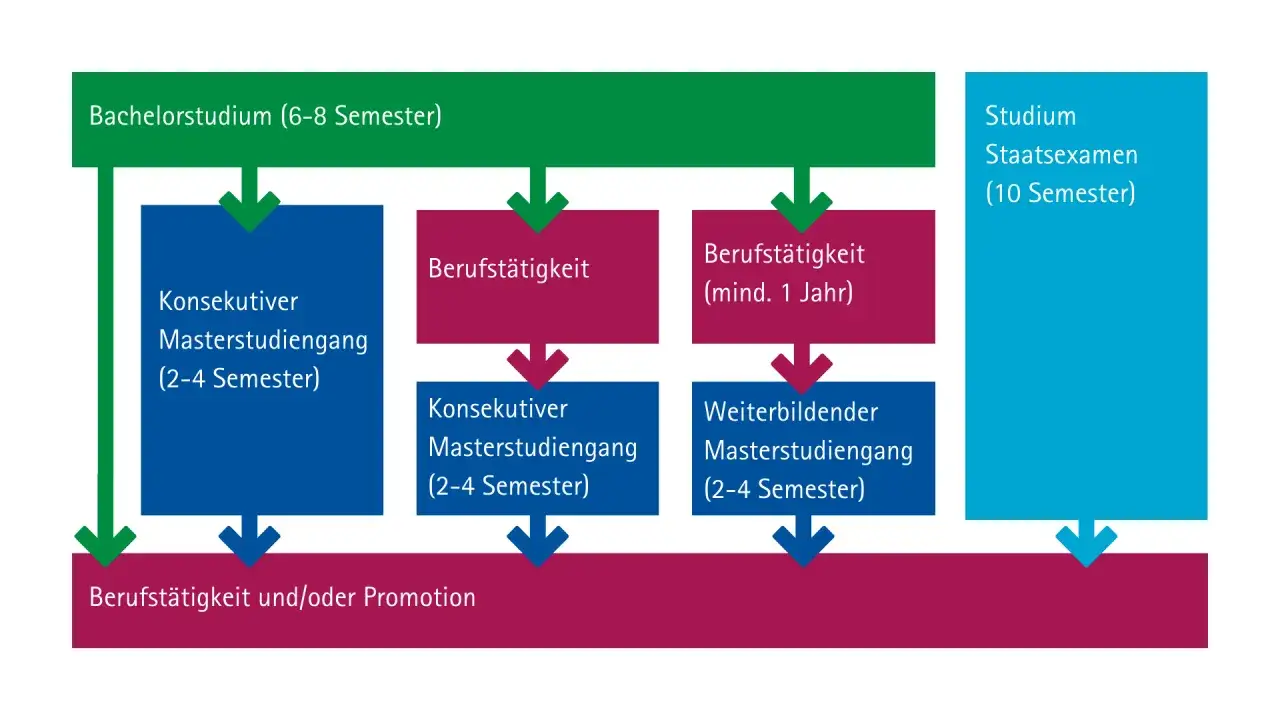 Flussdiagramm zeigt Wege nach dem Bachelorstudium: konsekutive Masterstudieng&auml;nge, berufsbegleitende Master, Staatsexamen oder Promotion. Master credit points sind hierbei entscheidend.