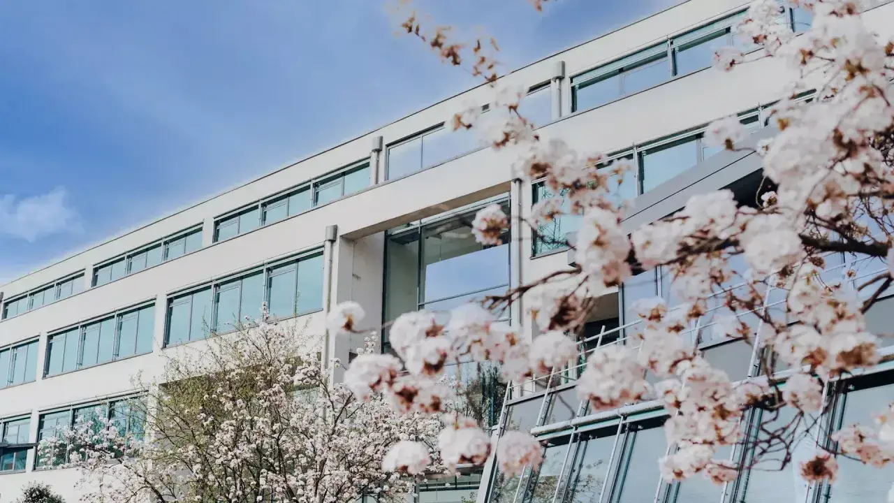 Blühende Kirschbäume vor dem modernen Gebäude der FOM Hochschule Essen.